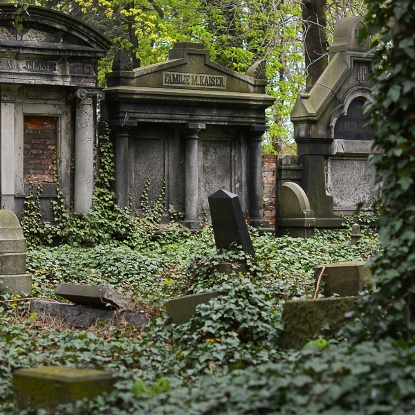 Illustration représentant un cimetière envahit par du lierre. 